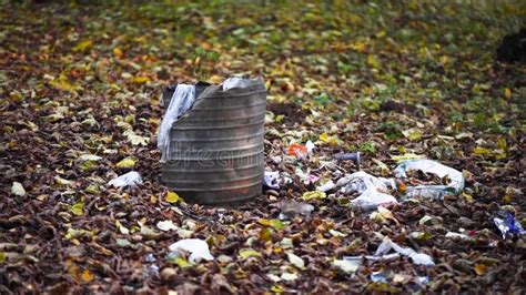 Kosz Na śmieci Wypełniony Odpadami Po Pikniku Zanieczyszczenie