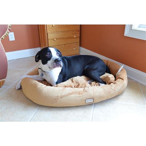 Armarkat Brown Soft Velvet Oval Dog Bed (For Puppy/Small Breed Dog) at ...