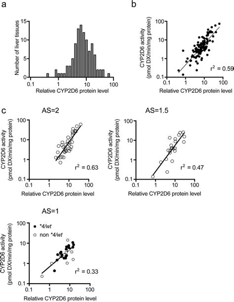 Cyp2d6 Protein Amount Governs Cyp2d6 Activity Levels In Human Liver