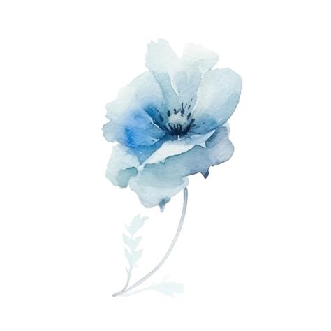 Aquarell Blumen Pflanzen Illustration Premium Vektor