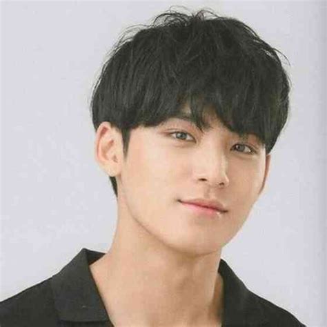 Kim Mingyu Net Worth Height Age Affair Career And More