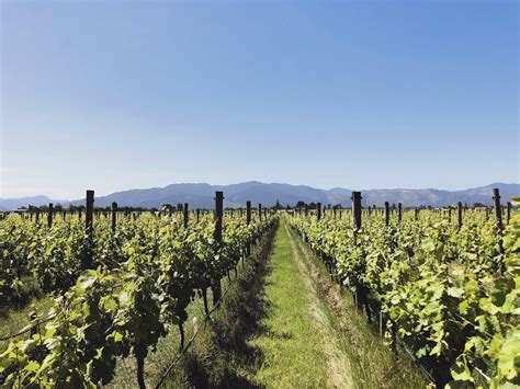 We Stopped On The Marlborough Wine Trail Our Nz Adventure