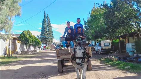 Paseo En Mula Por Orizaba Durango Como En Los Tiempos De Antes 7 De