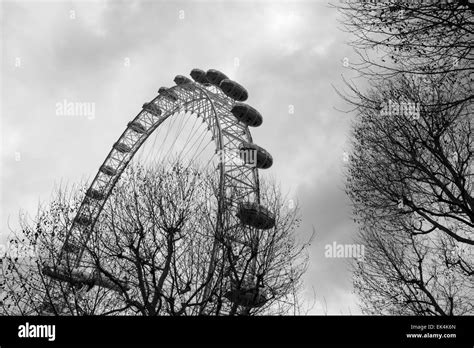 London Eye Black And White Stock Photos And London Eye Black And White