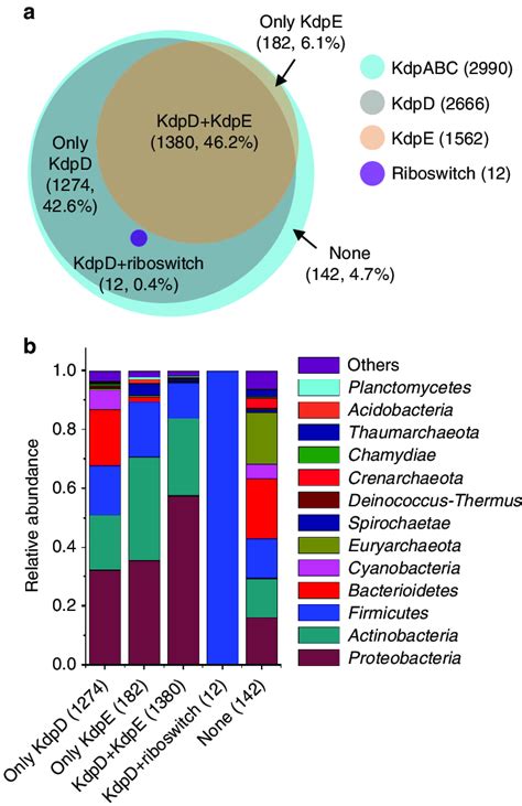 In Silico Analysis Of Kdp System Related Proteins And Cyclic