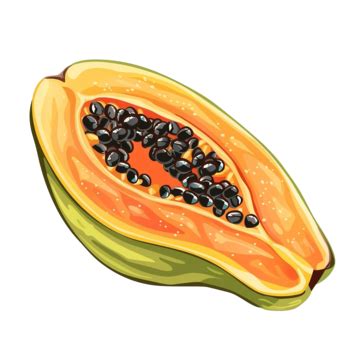 Papaya Slice Fruit Cartoon, Papaya, Slice, Fruit PNG Transparent Image ...