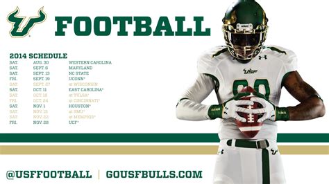 Usf Bulls Wallpaper (62+ images)