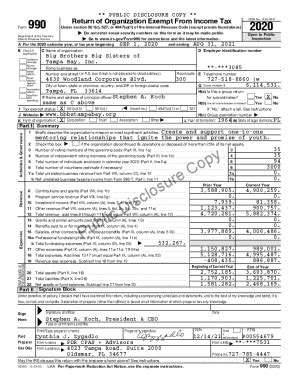 Fillable Online PUBLIC DISCLOSURE COPY 990 Return