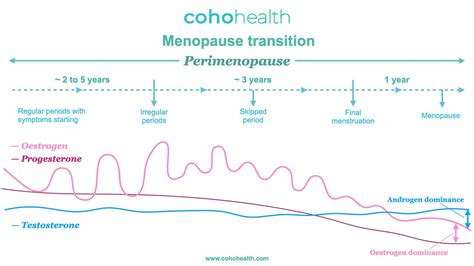 Female Hormone Problems Functional Medicine To The Rescue