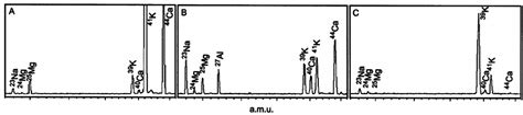 LAMMA spectra of the labelling solution (A), and cortical (B) and... | Download Scientific Diagram