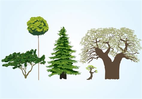 Vector Tree Collection Download Free Vector Art Stock Graphics And Images