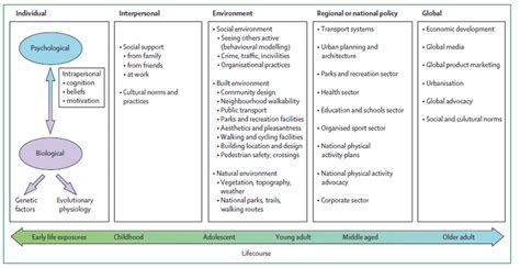 Abbildung 2 Adapted Ecological Model Of The Determinants Of Physical