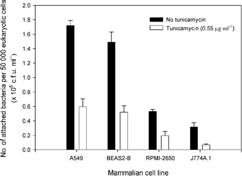 Effect Of Tunicamycin Treatment On The Attachment Of Y Pestis Strain