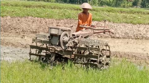 Joki Muda Traktor Sawah Dengan Skillnya Menjalankan Traktor Quick