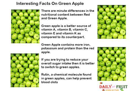 Interesting Health Facts On Green Apple Dailyonefruit