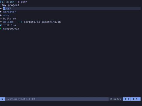 netrw.nvim - It's not because we use netrw that we cannot have nice ...