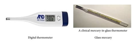 Digital And Glass Mercury Thermometer Download Scientific Diagram