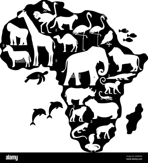 Siluetas De Animales Y Aves En El Mapa De África Imagen Vector De Stock