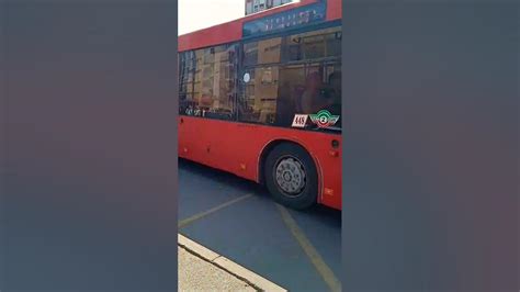 KAZAN BUS | Автобус МАЗ-203.069, Маршрут №68. Казань (18.05.2023) #bus ...