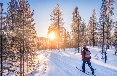 Tree Well Skiing: Mastering Techniques & Precautions