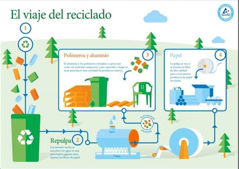 La Importancia De Reciclar Desde El Hogar Efecto Responsable