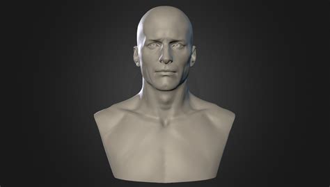 Semana 02 Male Head 3d Model By Rafasouza3d [7bb018a] Sketchfab