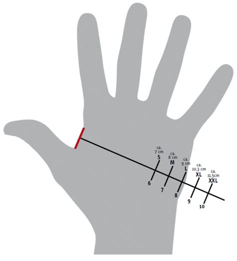 Dguv Information Chemikalienschutzhandschuhe Anhang