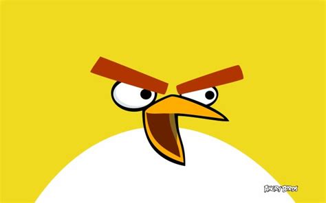 Baby Angry Birds Cute 2560x1440 Wallpaper Teahub Io