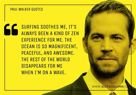 12 Paul Walker Quotes That Will Inspire You (2023) | EliteColumn