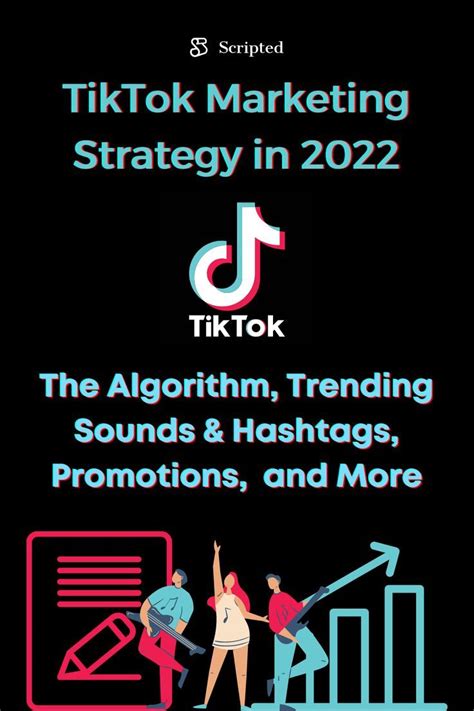 Tiktok Marketing Strategy In For Creators Businesses Artofit