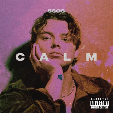 5 Seconds Of Summer Calm Ashton Edition 2020 CD Discogs