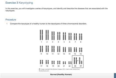 Solved Exercise 3 Karyotyping In This Exercise You Will Chegg