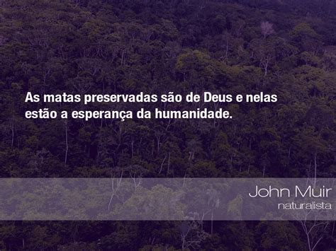 Frases Do Meio Ambiente John Muir Naturalista 05052016 Oeco