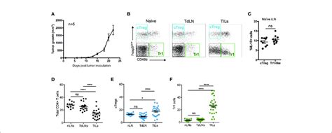 Tr1 Cells Are More Abundant At The Tumor Site Than Conventional