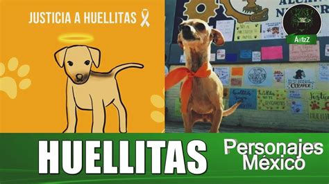 El Caso De Huellitas Un Perrito En Huauchinango Puebla Youtube