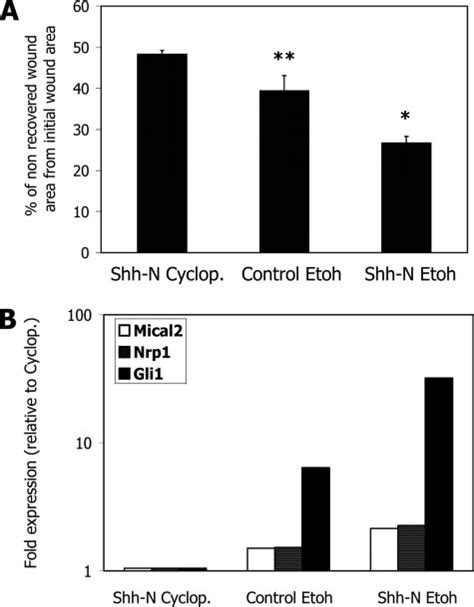 Shh Induces Migration And Neuropilin Mical Expression In Primary