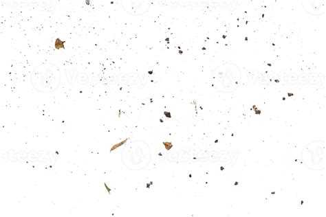 Dirt Particle Texture