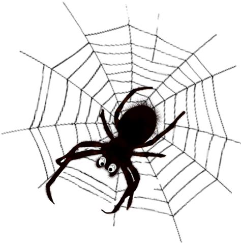 Spider web Spider silk Clip art - spider png download - 650*655 - Free Transparent Spider png ...