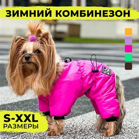 Зимний комбинезон для собаки (девочка), зимняя одежда для собак мелких ...