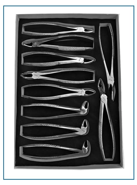 Precision Dental Extraction Forceps Hamsan Surgical