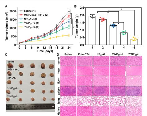 Figure From Application Of Tumor Ph Hypoxia Responsive Nanoparticles