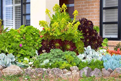 small front yard landscaping ideas    big impact