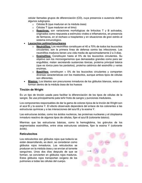 Solution Practica De Laboratorio Do Parcial Terminado Studypool