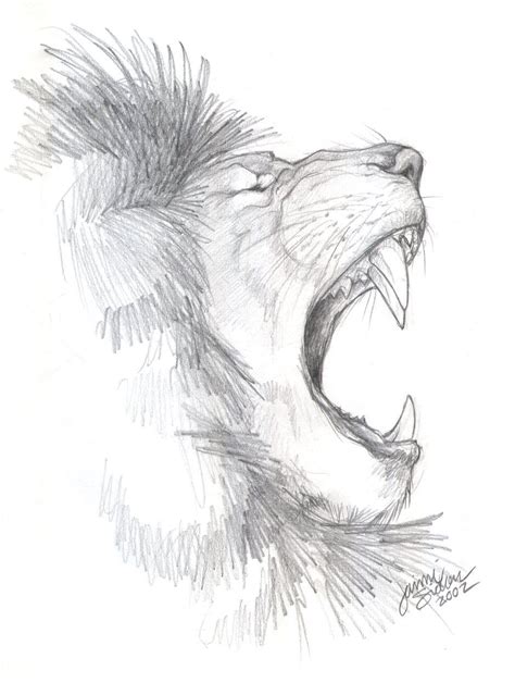 Animal Sketch Ideas At Explore Collection Of