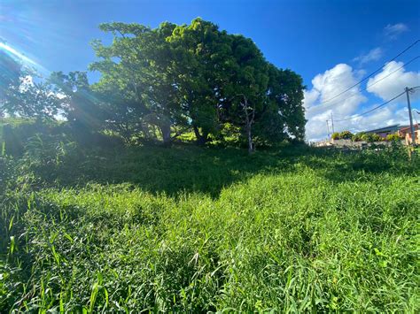 Vente Beau terrain en pente douce très belle vue dégagée sur campagne