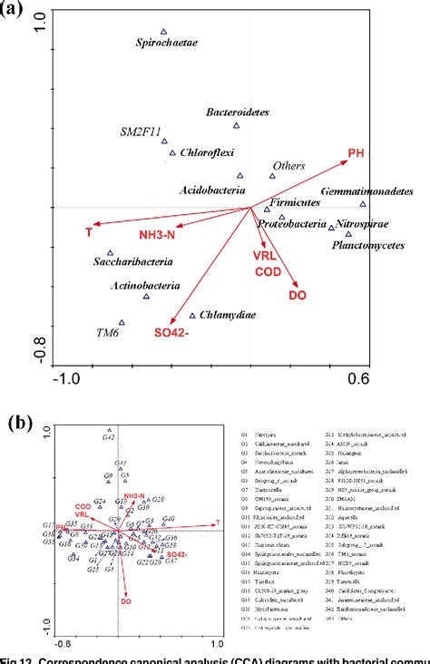 Figure 12 From Bacterial Community Analysis Of Anoxic Aeration A O