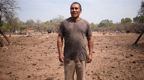 Sequ A En El Chaco Una Visi N Desde El Territorio Nativa Bolivia