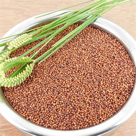 Finger Millets At Rs Kilogram Ap Nagar Bengaluru Id