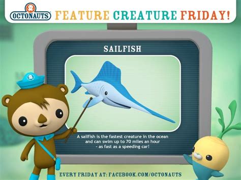 Octonauts Happy Feature Creature Friday Kwazii Is Always Excited To