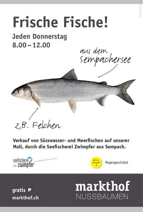 Natürliche Fischprodukte von der Seefischerei Zwimpfer Markthof